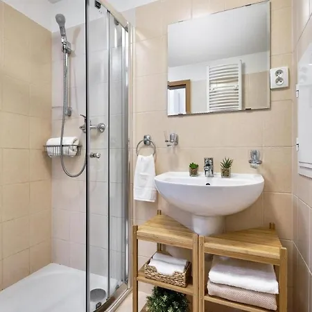Andy Apartman Apartment Trebon